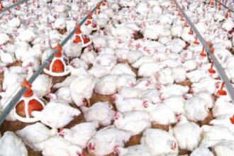 La météo bouscule la chaîne d'approvisionnement