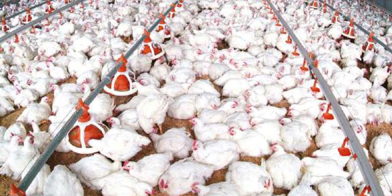 La météo bouscule la chaîne d'approvisionnement