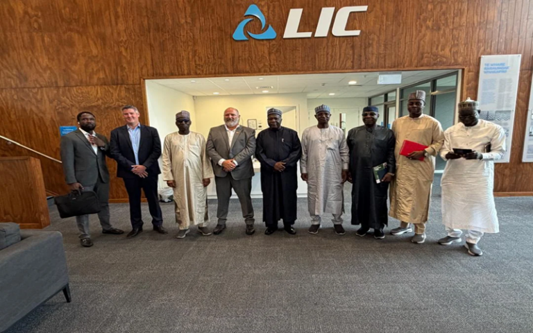 élevage bovin au Nigeria