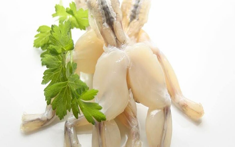 élevage de grenouilles