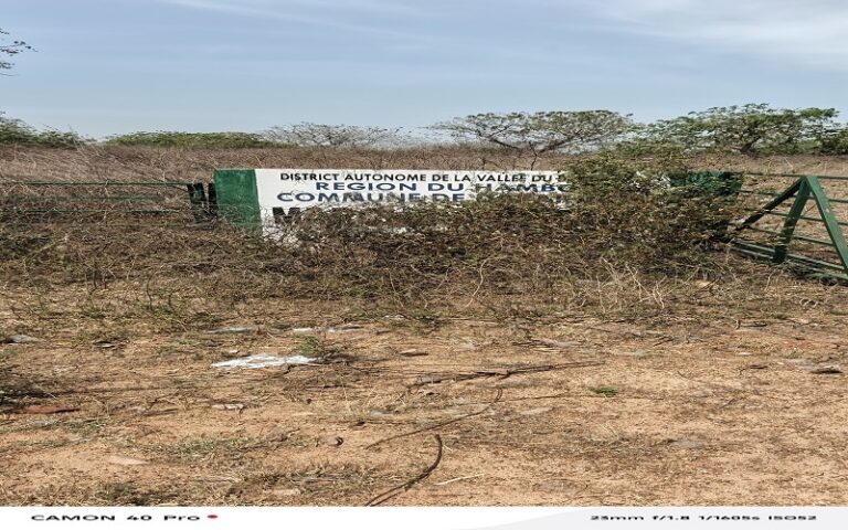 Le marché à bétail de Dabakala déserté depuis plus d’un an