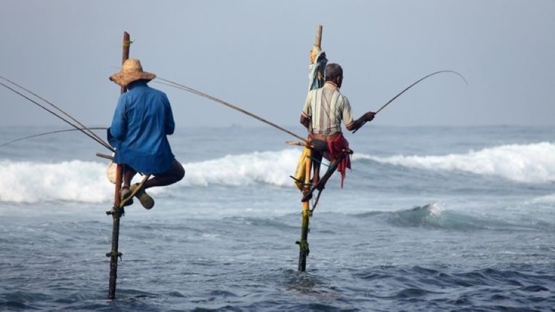 Vers la réduction des permis de pêcheurs à la ligne traditionnels des côte sud-africaines
