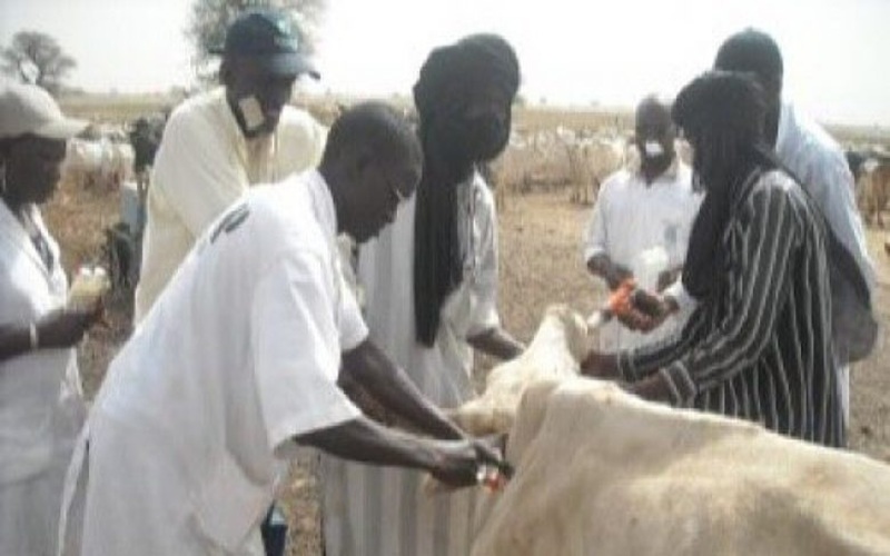 souveraineté alimentaire Sénégal