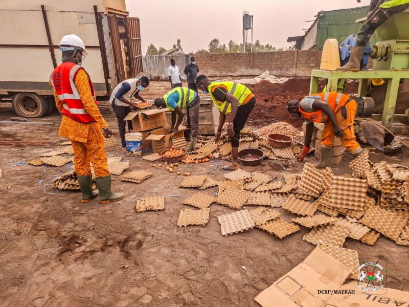 180 000 œufs impropres à la consommation recyclés en d’engrais organique