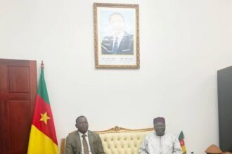 Cameroun/le PNUD veut développer le secteur de l’élevage