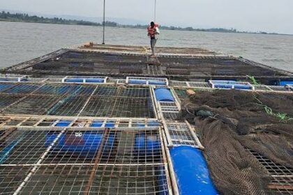 L’Etat lance une opération de modernisation d’un centre de production d'alevins