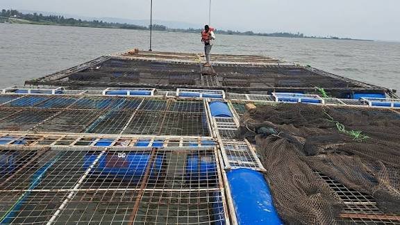 L’Etat lance une opération de modernisation d’un centre de production d'alevins