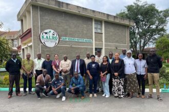 L’Institut de recherche laitière de Naivasha