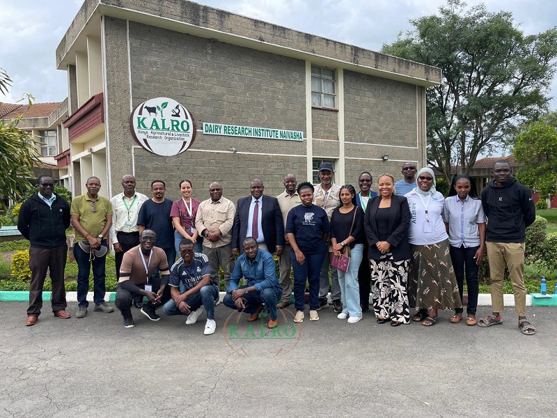 L’Institut de recherche laitière de Naivasha