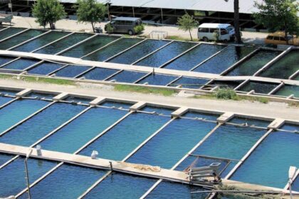 Plus de 41 milliards de FCFA mobilisé pour le développement de l’aquaculture en Afrique subsaharienne