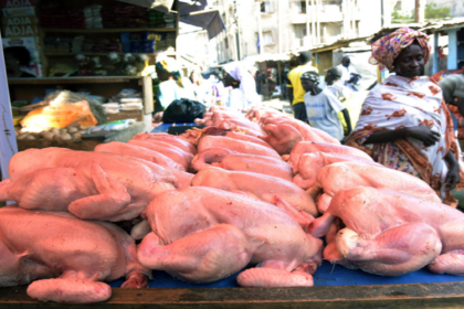 Interprofession avicole du Sénégal