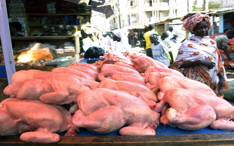 Interprofession avicole du Sénégal