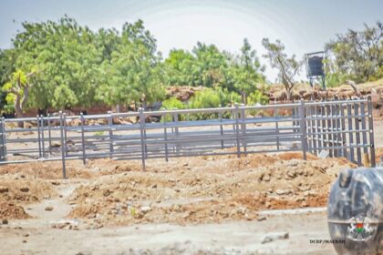 abattoir de Dédougou