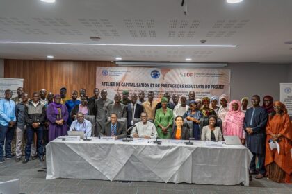 structuration de la conchyliculture