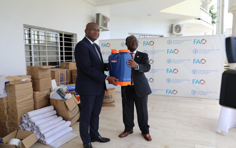 La FAO renforce la riposte de la Côte d’Ivoire contre la peste porcine africaine