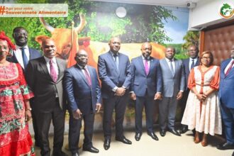 modèle agricole Côte d’Ivoire