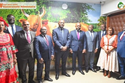 modèle agricole Côte d’Ivoire