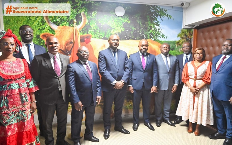 modèle agricole Côte d’Ivoire