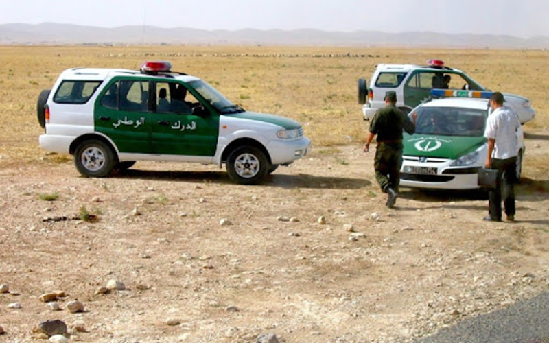 vol de bétail Algérie
