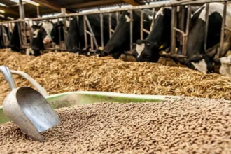 Alimentation animale