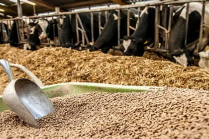 Alimentation animale