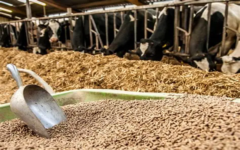 Alimentation animale