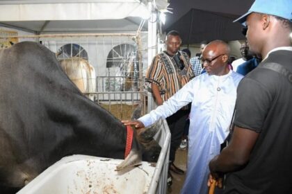 Sénégal / FIARA 2026 : Mabouba Diagne encourage la consommation locale pour une souveraineté alimentaire durable