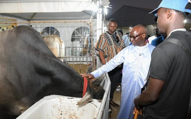 Sénégal / FIARA 2026 : Mabouba Diagne encourage la consommation locale pour une souveraineté alimentaire durable