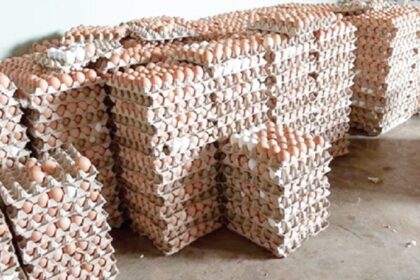 restauration des exportations d'œufs entre le Burkina Faso et le Ghana