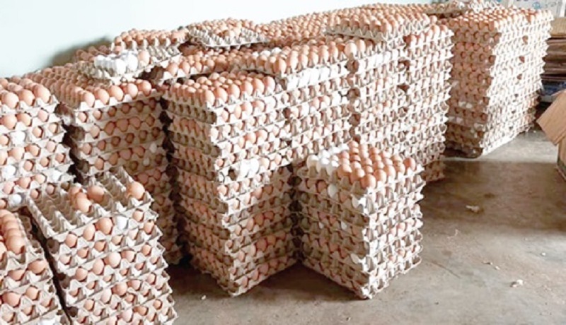 restauration des exportations d'œufs entre le Burkina Faso et le Ghana