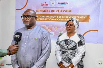 Guinée /une concertation pour dynamiser la filière avicole