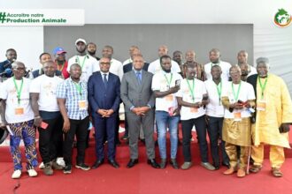 Côte d’Ivoire / les aviculteurs demandent la levée de la TVA de 9 % sur les intrants