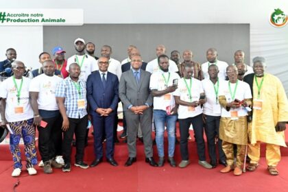 Côte d’Ivoire / les aviculteurs demandent la levée de la TVA de 9 % sur les intrants