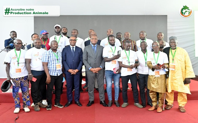 Côte d’Ivoire / les aviculteurs demandent la levée de la TVA de 9 % sur les intrants