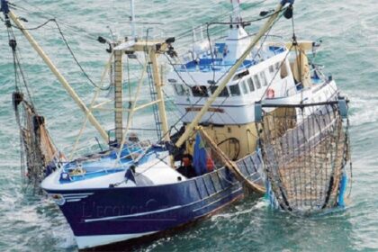 Maroc/les débarquements de la pêche côtière et artisanale chiffrés à 4.460 tonnes (T)