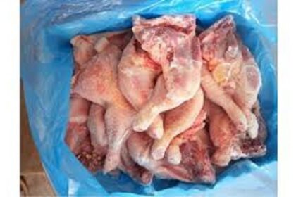 NIGERIA/ le gouvernement interdit l’importation de produits avicoles hors CEDEAO pour soutenir la production locale