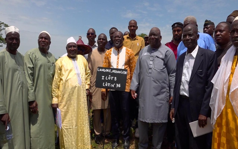 acteurs filière bétail viande