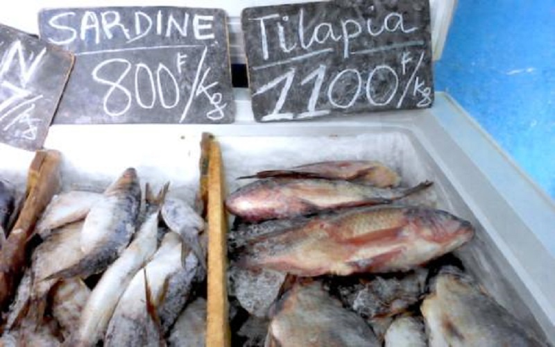 Cameroun / la facture des importations de poissons congelés grimpe de 38 % en 2025