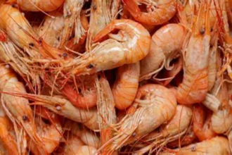 crevette camerounaise