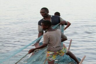 industrie du poisson Nigéria