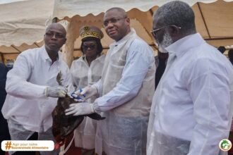 maladie de Newcastle