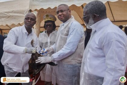 maladie de Newcastle