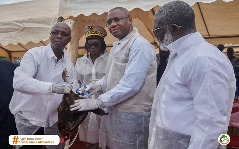 maladie de Newcastle