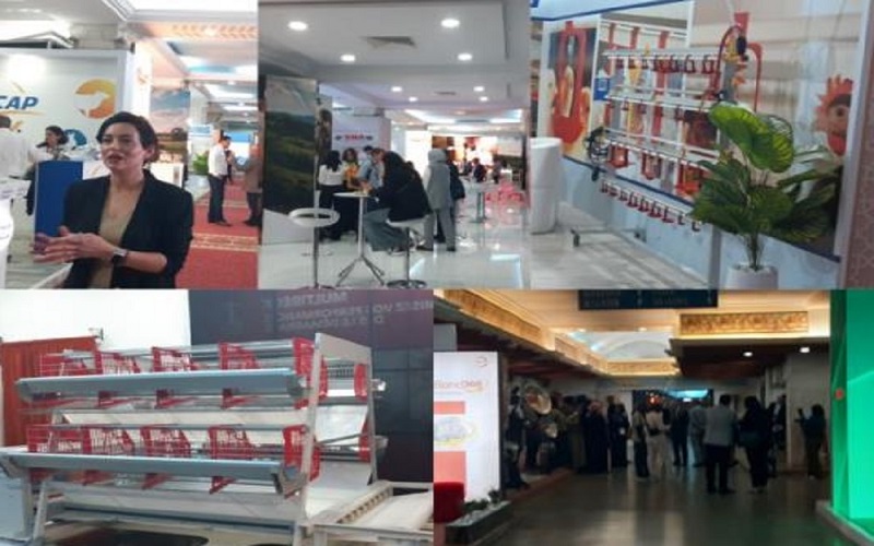 Pamed Expo 2026