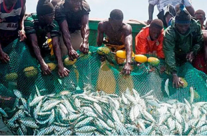 secteur halieutique Bénin