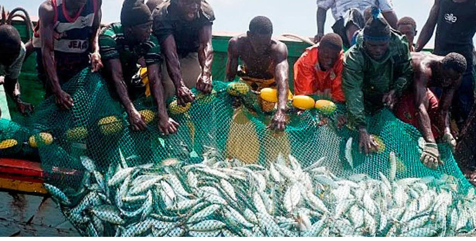 secteur halieutique Bénin
