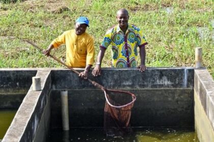 Aquaculture / le Gabon relance la Station piscicole de la Peyrie pour soutenir la souveraineté alimentaire