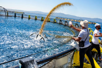 Aquaculture en Algérie