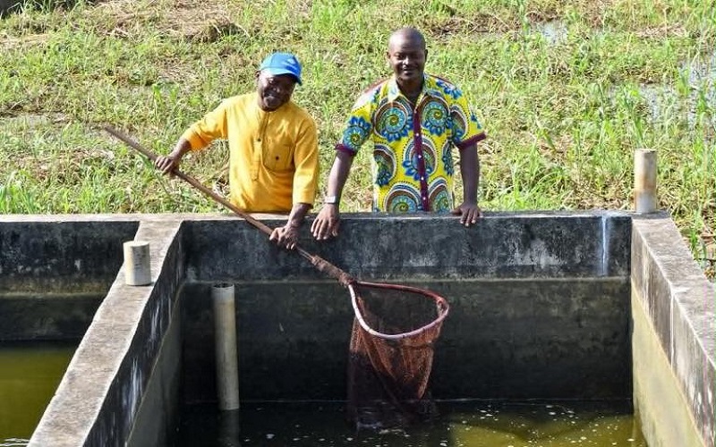 Aquaculture / le Gabon relance la Station piscicole de la Peyrie pour soutenir la souveraineté alimentaire