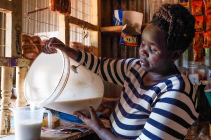 Filière laitière Kenya